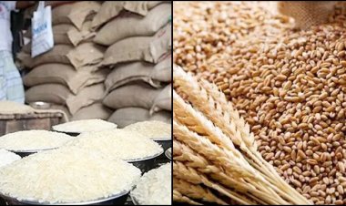 ৫ লাখ টন চাল, ৬ লাখ টন গম আমদানি করবে সরকার