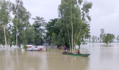কুড়িগ্রাম: দুই নদীর পানি বিপৎসীমার ওপরে, পানিবন্দি ১৫ হাজার মানুষ