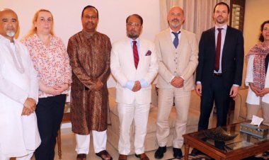 এককভাবে নির্বাচন করার কথা ইইউকে জানাল জাপা