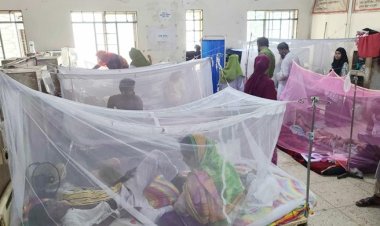 যশোরে ডেঙ্গুতে দু’জনের মৃত্যু