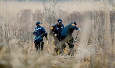 ফেলে দেওয়া পিৎজার টুকরা থেকে মিললো দুর্ধর্ষ খুনির সন্ধান