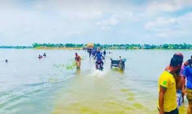 যমুনার পানি বিপদসীমা ছুঁই ছুঁই, প্লাবিত নিম্নাঞ্চল