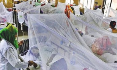 ডেঙ্গুতে আরও ৬ জনের মৃত্যু, হাসপাতালে ভর্তি ১৪২৪ জন