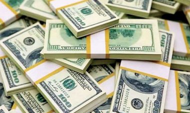 দুই সপ্তাহে রেমিট্যান্স এলো প্রায় শত কোটি ডলার