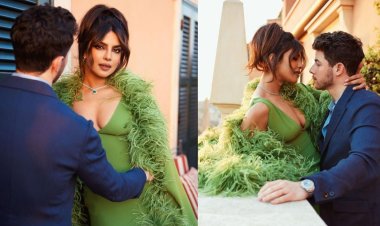 চলন্ত গাড়িতে নিক-প্রিয়াঙ্কার ‘চুলোচুলি’, ভিডিও ভাইরাল