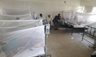 খুমেকে ডেঙ্গু আক্রান্ত নারীর মৃত্যু, ভর্তি ৪০