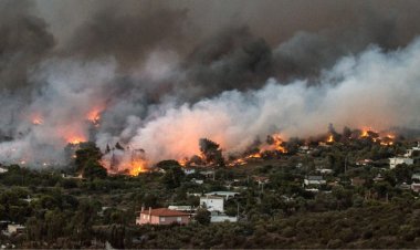 দাবানলে পুড়ছে গ্রিস, ঘরবাড়ি ছেড়ে পালাচ্ছে মানুষ