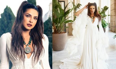 প্রিয়াঙ্কার সম্পত্তি পেছনে ফেলবে বহু তারকাকে