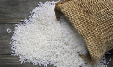 চালের বৈশ্বিক বাজারে অস্থিরতার আভাস