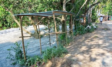 ইউপি সদস্যর বিরুদ্ধে পাউবোর জায়গা দখলের অভিযোগ