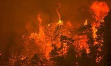  গ্রিসের দাবানল ক্রমেই ভয়াবহ আকার ধারন করছে