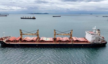 শস্য চুক্তি ফের চালু করতে যেসব শর্ত দিল রাশিয়া