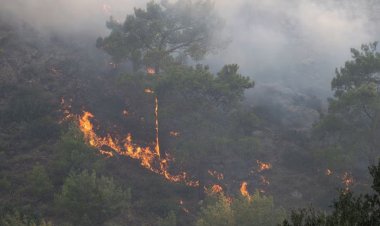 ভয়াবহ দাবানলে পুড়ছে গ্রিসের রোডস দ্বীপ