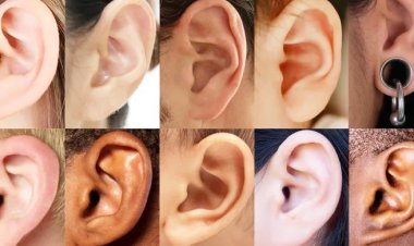 কানের আকৃতিই বলে দেবে আপনি কেমন