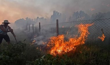 আলজেরিয়াজুড়ে ভয়াবহ দাবানল, ১০ সৈন্যসহ নিহত ৩৪
