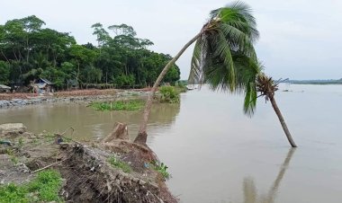 মাদারীপুরে ভাঙন আতঙ্কে তিন শতাধিক পরিবার