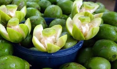 শরীর সুস্থ রাখতে আমড়া খান