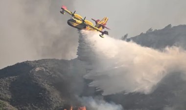 গ্রিসে আগুন নেভাতে যাওয়া প্লেনের ২ পাইলট নিহত