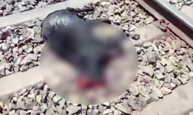 ছাগল বাঁচাতে গিয়ে ট্রেনে কাটা পড়লো বৃদ্ধা