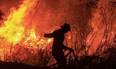  দাবানল : ভূমধ্যসাগরীয় ৩ দেশে মৃত্যু ছাড়িয়েছে ৪০