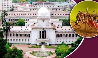 ডেঙ্গু নিয়ে হাইকোর্টে রিট: চার বছরেও নেই অগ্রগতি