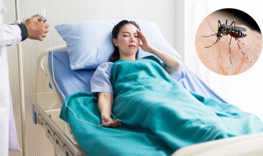 বাড়ছে ডেঙ্গু, ভাইরাস জ্বর ভেবে অবহেলা করবেন না