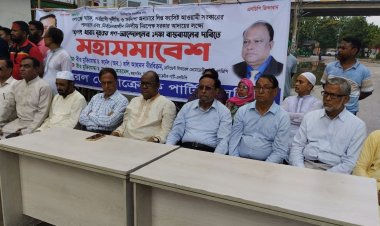 সরকারকে বিদায় নিতেই হবে : অলি