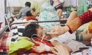 চলতি বছরে ডেঙ্গুতে ৪৪২০৫ রোগী হাসপাতালে ভর্তি, ২২৯ জনের প্রাণহানি