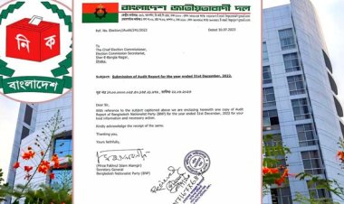 ইসিতে আয়-ব্যয়ের হিসাব দিলো বিএনপি, উদ্বৃত্ত ২ কোটি টাকা