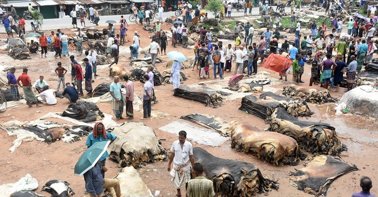 বেশি দামে চামড়া কিনে বিপাকে মৌসুমি ব্যবসায়ীরা