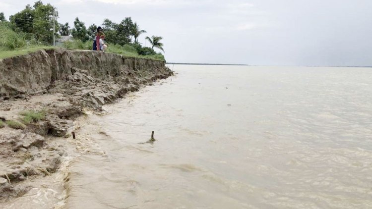 দৌলতদিয়ায় ভাঙছে নদী, আতঙ্কে স্থানীয়রা