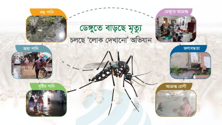 ডেঙ্গু : আগস্ট-সেপ্টেম্বর নিয়েও ভয়