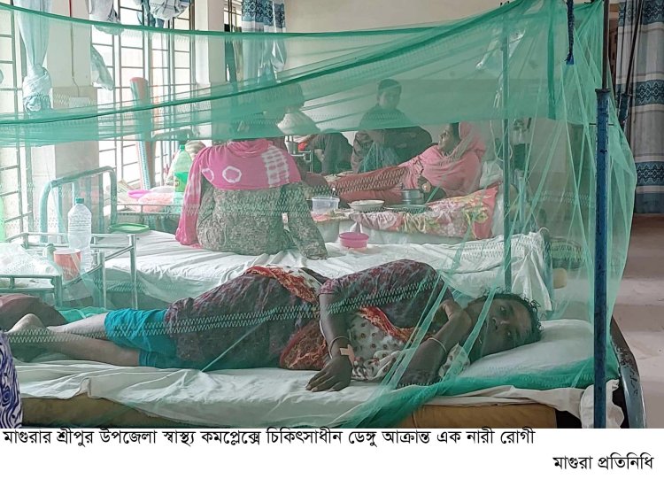 মাগুরায় একই গ্রামের ১০ জনসহ ৩৮ নারী-পুরুষ ডেঙ্গু রোগে আক্রান্ত