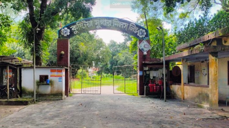 কুষ্টিয়া চিনিকলে ৩ মৌসুম আখ মাড়াই বন্ধ, কর্মহীন সহস্রাধিক