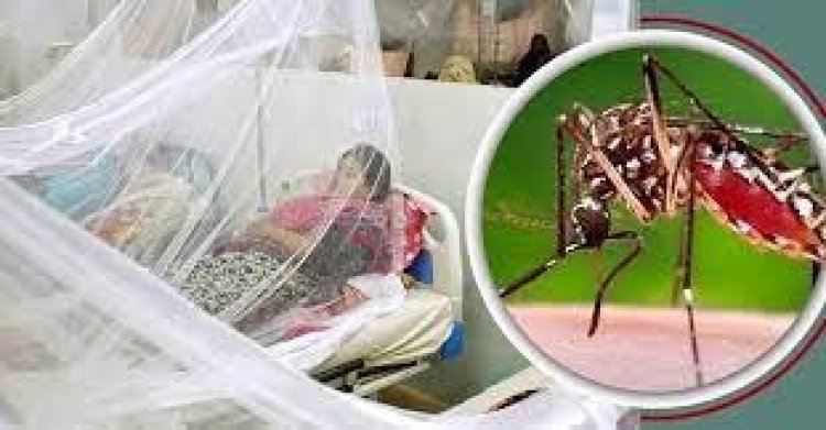 ডেঙ্গু আক্রান্ত এবছর ভর্তি ১৭ হাজার ছাড়িয়েছে, মৃত্যু ৯৩