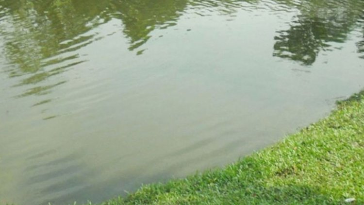 হবিগঞ্জে পুকুরে ডুবে প্রাণ গেল ফুফু-ভাতিজার