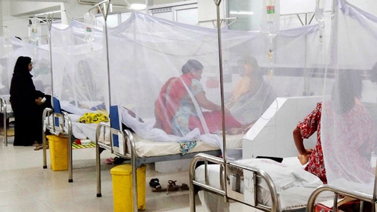 ডেঙ্গু আক্রান্ত হয়ে ১১ জনের মৃত্যু, হাসপাতালে ভর্তি ২২৪২