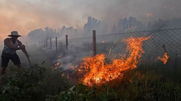 আলজেরিয়াজুড়ে ভয়াবহ দাবানল, ১০ সৈন্যসহ নিহত ৩৪
