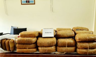 ৯০ কেজি গাঁজাসহ যাত্রাবাড়ীতে গ্রেপ্তার দুই কারবারি