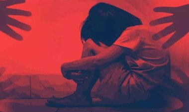  ৯১ শিশুকে যৌন নির্যাতন, বিচারের মুখোমুখি সাবেক পরিচর্যা কর্মী