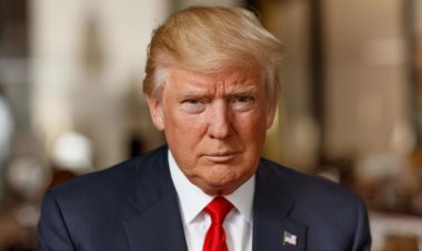 প্রেসিডেন্ট নির্বাচন ২০২০: নির্বাচনের ফল পাল্টানোর চেষ্টায় অভিযুক্ত করা হলো ট্রাম্পকে