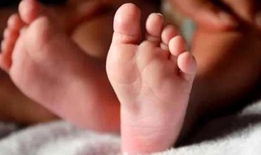 লেকের পাশে পড়ে ছিল নবজাতকের মরদেহ