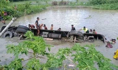 বাসচালকের খামখেয়ালিপনায় ১৭ জনের প্রাণহানি