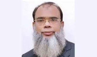 বিএনপি নেতা সালাউদ্দিনকে আইনশৃঙ্খলা বাহিনীর তুলে নেওয়ার অভিযোগ