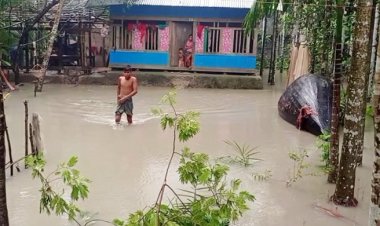 সুগন্ধা-বিষখালী নদীর পানি বেড়ে ২০ গ্রাম প্লাবিত