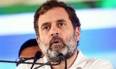 রাহুল গান্ধীর বিরুদ্ধে সবরকমের সাজার আদেশে স্থগিতাদেশ সুপ্রিম কোর্টের