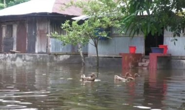 বাগেরহাটে গ্রামরক্ষাবাঁধ ভেঙ্গে ভেসে গেছে ঘেরের মাছ, পানিবন্দি ৩ শতাধিক পরিবার