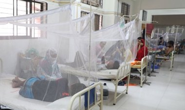 মিলছে না ডেঙ্গু পরিস্থিতির সঠিক চিত্র 