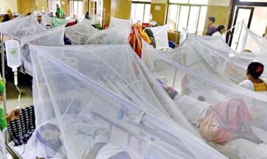  টাঙ্গাইলে একদিনে ডেঙ্গুতে আক্রান্ত আরও ২৬ জন