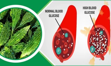 ডায়াবেটিস রোগীদের জন্য করলা কেন উপকারী?
